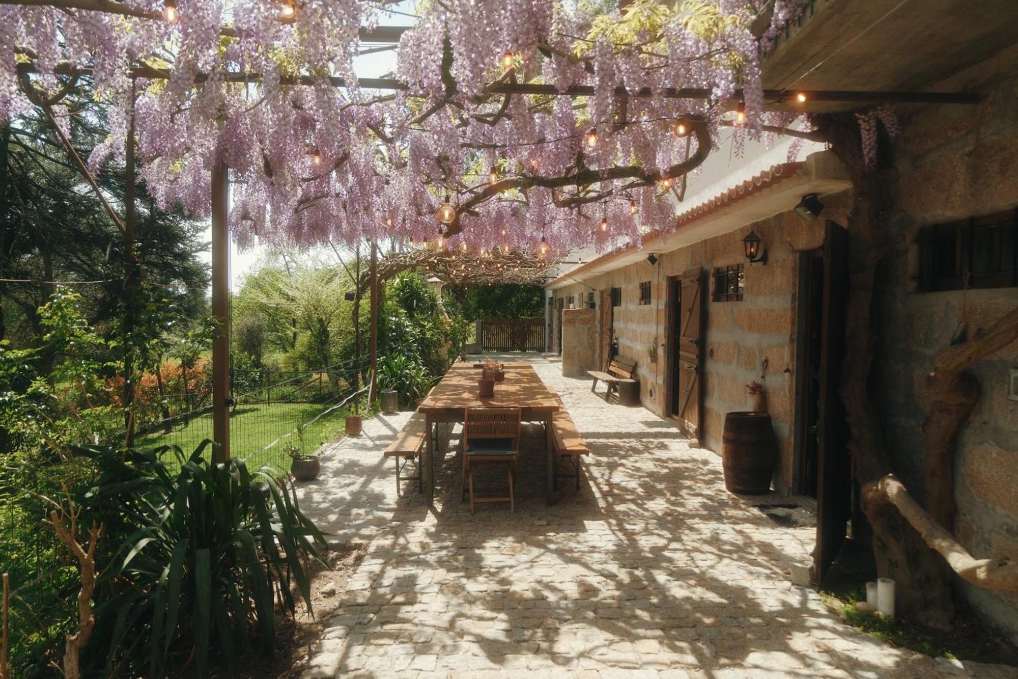 Casa Da Alvarinha Privacidade Conforto Natureza Paredes  Zewnętrze zdjęcie