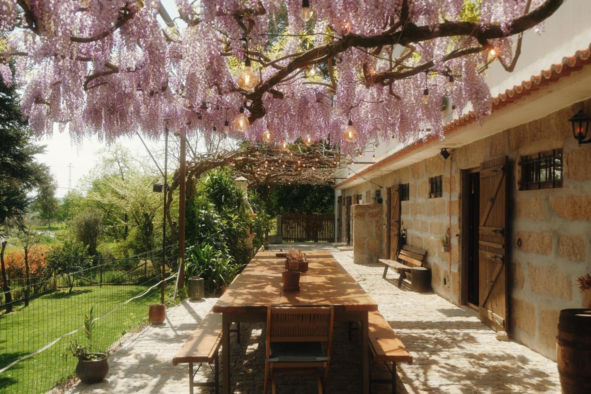 Casa Da Alvarinha Privacidade Conforto Natureza Paredes  Zewnętrze zdjęcie