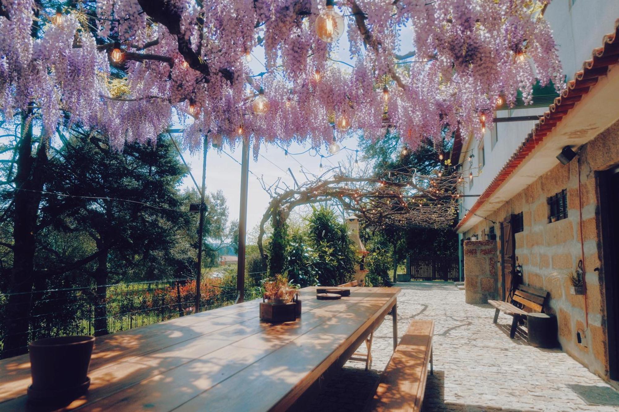 Casa Da Alvarinha Privacidade Conforto Natureza Paredes  Zewnętrze zdjęcie